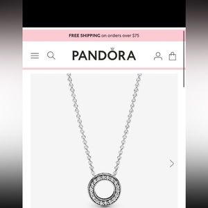 Pandora necklace